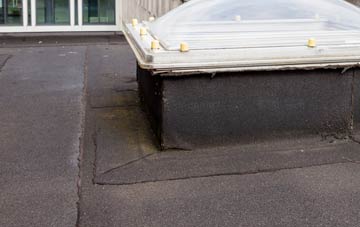 disadvantages of Tredomen flat roofs