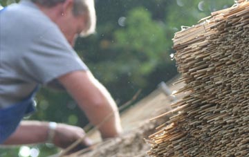 professional Tredomen thatchers