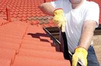 Tredomen roof cleaners