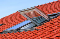 Tredomen roof window