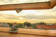 rated Tredomen roof window companies